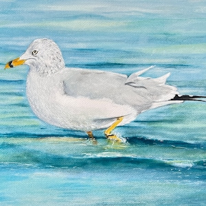 Seagull wading hand signed print wall art of an original watercolor