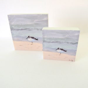 Sanderling prints on white wood blocks, Sandpiper, Shore Bird, Shorebird, Beach art, Beach decor, Coastal Art, Coastal Decor, Shore bird art