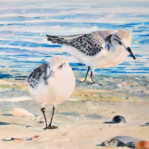 Two Sanderlings on the Beach print is hand signed and frameable