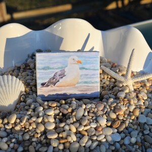 beach house decor beach art shore bird Non-breeding Seagull strutting print coastal decor seagull art wall art Seagull Print