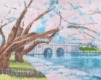Cherry Blossom Bridge Print: Washington DC Art, Signed Fine Art