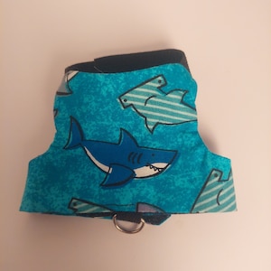 Arnés Dragon Sharks de ajuste ajustable