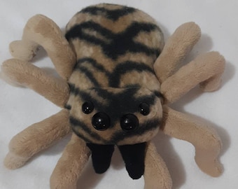 Jumping Spider/Spider/Arachnid/Tiger Stripes