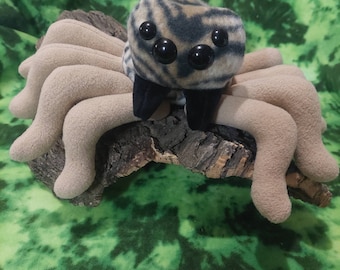 Large Jumping Spider Plush/Spider/Arachnid/Tiger Stripes