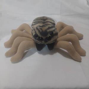 Jumping Spider/Spider/Arachnid/Tiger Stripes