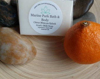 Citrus Mimosa Soap, Citrus Soap, Mimosa Soap, All Natural Soap, Mandarin Soap, Mandarin Mimosa Soap