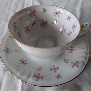 Vintage Flat Cup and Saucer Set (WIG482 Pattern) by Winterling - Bavaria
