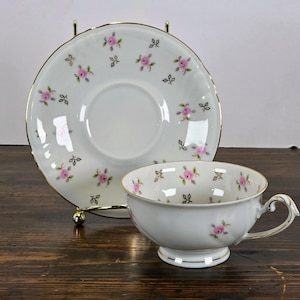 Vintage Flat Cup and Saucer Set (WIG482 Pattern) by Winterling - Bavaria