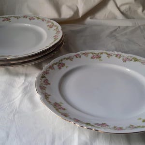 Juego de 4 platos llanos de Altrohlau (modelo ALT27)