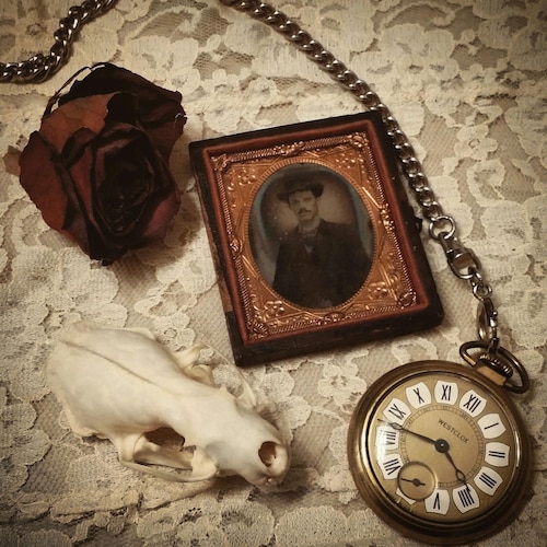 WeepingWidow - Etsy