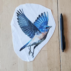 May include: A detailed illustration of a bluebird in flight, with wings spread wide, showcasing vibrant blue and brown plumage. The bird is depicted on a white, irregularly shaped paper. A black pen is positioned to the right, providing scale.
