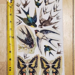 May include: A sheet of paper with various bird and butterfly illustrations. The birds are depicted in flight with blue, brown, and black feathers. The butterflies have yellow and black wings. The paper measures approximately 10 inches in length.
