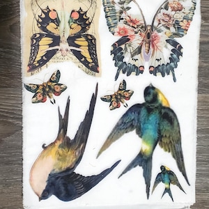 May include: A white fabric featuring various butterfly and bird illustrations. The butterflies showcase intricate designs with floral and patterned wings. The birds are depicted in flight with detailed feathering, in shades of blue, yellow, and black.