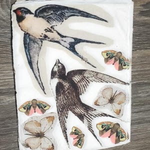 May include: A white background with a collage of vintage illustrations of birds and butterflies. The birds are black and white, and the butterflies are in shades of pink, green, and brown.