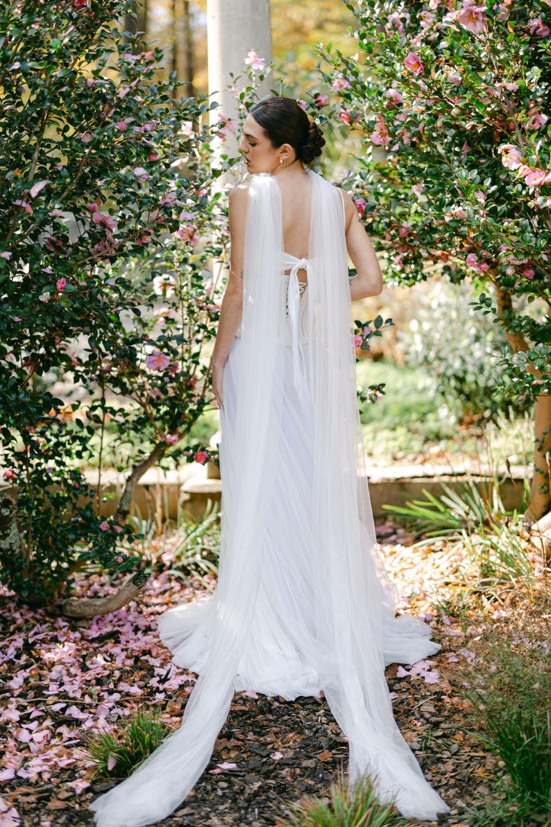 Vintage luxurious wedding dress back with long tulle scarf