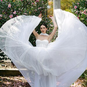 Danielle Frankel Anika Dupe corset top dress