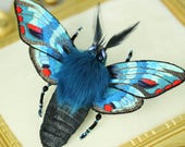 Textile art-entomology embroidered insect brooch 3D giant butterfly "Night Moth Blue"