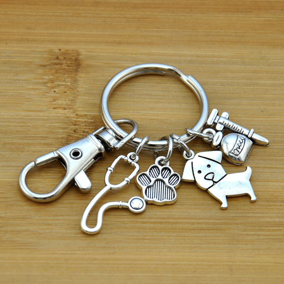 Key Chain Veterinary Vet Technician,vet Gifts, Vet Keychain, Veterinary Gifts, Veterinary ...