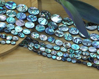 ニュージーランド産天然アワビ貝 - Etsy 日本