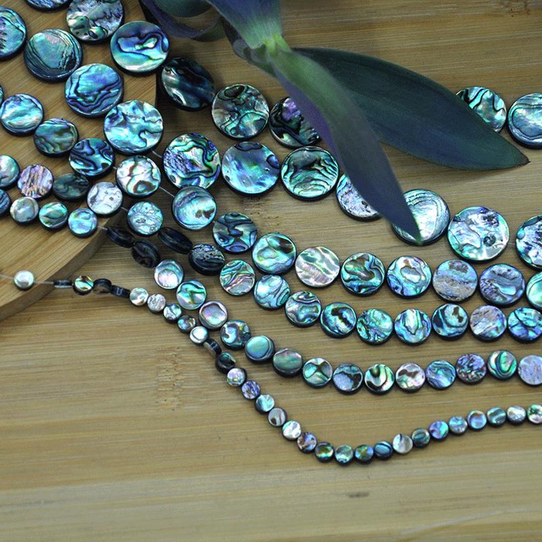 AAA Genuine Abalone Shell 8-20mm Coin Beads,natural Abalone Shell Flat ...