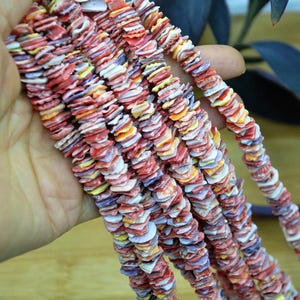 Puede incluir: Un largo hilo de pequeñas cuentas de concha planas y cuadradas en una vibrante mezcla de tonos rojos, naranjas, amarillos y morados. Las cuentas están ensartadas en una línea densa y continua, mostrando variaciones naturales de color.