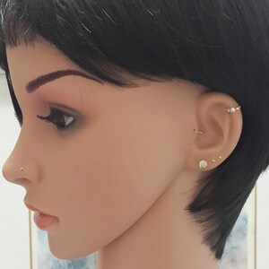 May include: A close-up of a person's ear with multiple piercings. The person has a small seashell-shaped earring, a small gold stud, and a gold hoop earring in their ear. They also have a small gold stud in their nose.