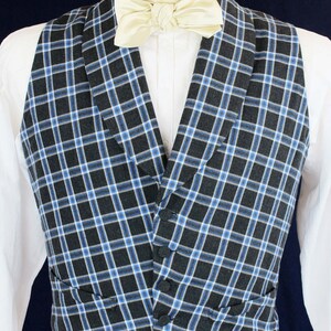 May include: A black and blue plaid vest with a white bow tie. The vest has a pointed collar and five buttons down the front.