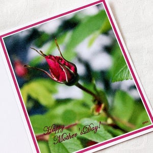 Happy Mother's Day card with rose bud