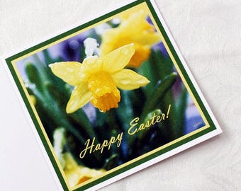 Carte de Pâques heureuse avec jonquilles, carte de Pâques de fleurs jaunes, carte de grandeur pour Pâques, GMHdesign,