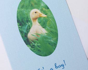 It's a boy!  Congratulations card