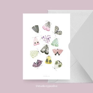 Carte pour diverses occasions / MOTHS / carte postale pour de nombreuses occasions - comme salutation ou invitation pour les amis et la famille, les papillons de nuit
