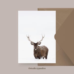Carte de Noël / CERF NO. 2/ Carte de Noël simple et belle - carte de voeux pour l'Avent pour la famille, les amis et les collègues