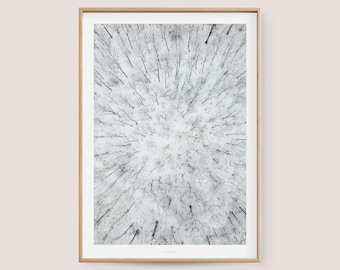 Póster de arte mural / ABOVE WOODS NO. 4 / Impresión que presenta un bosque, nieve, árboles, escena invernal, como decoración de sala de estar, regalo de inauguración de la casa, presente