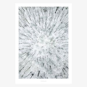 Poster mural / Above The Woods No. 4 / forest, snow, trees, living room decoration, housewarming gift, art print, as a gift