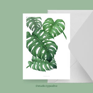 Carte pour diverses occasions / TROPICAL NO. 2 / Carte postale pour de nombreuses occasions - comme salutation ou invitation pour les amis et la famille, monstera, aquarelle