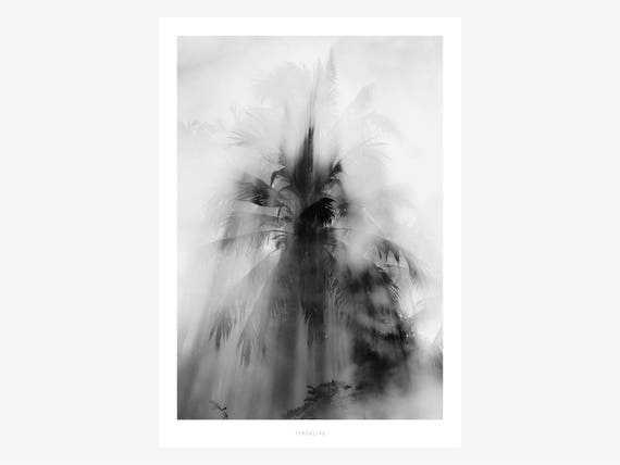 All About Palms No 10 Palms Black And White Bw Summer Tropical Fine Art Print Wall Art Minimal Poster Art Premium Poster - 