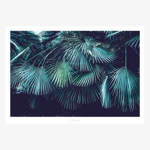 Poster mural / Junglelow No. 8 / palm trees, leaves, tropical, living room decoration, housewarming gift, art print, as a gift