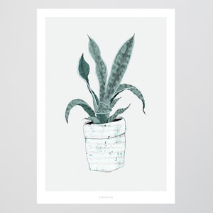 Poster wall picture / Wallplant No. 2 / plant, pot, living room decoration, housewarming gift, art print, as a gift