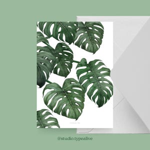 Cartão para diversas ocasiões / TROPCIAL NO. 6 / Cartão postal para muitas ocasiões - como saudação ou convite para amigos e familiares, Monstera botânica