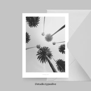 Carte pour diverses occasions / TOUT SUR LE NO. 7 / Carte postale pour de nombreuses occasions – comme salutation ou invitation pour les amis et la famille, palmiers, gris