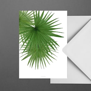Carte pour diverses occasions / TROPICAL NO. 3 / Carte postale pour de nombreuses occasions - comme salutation ou invitation pour les amis et la famille, palmiers tropicaux