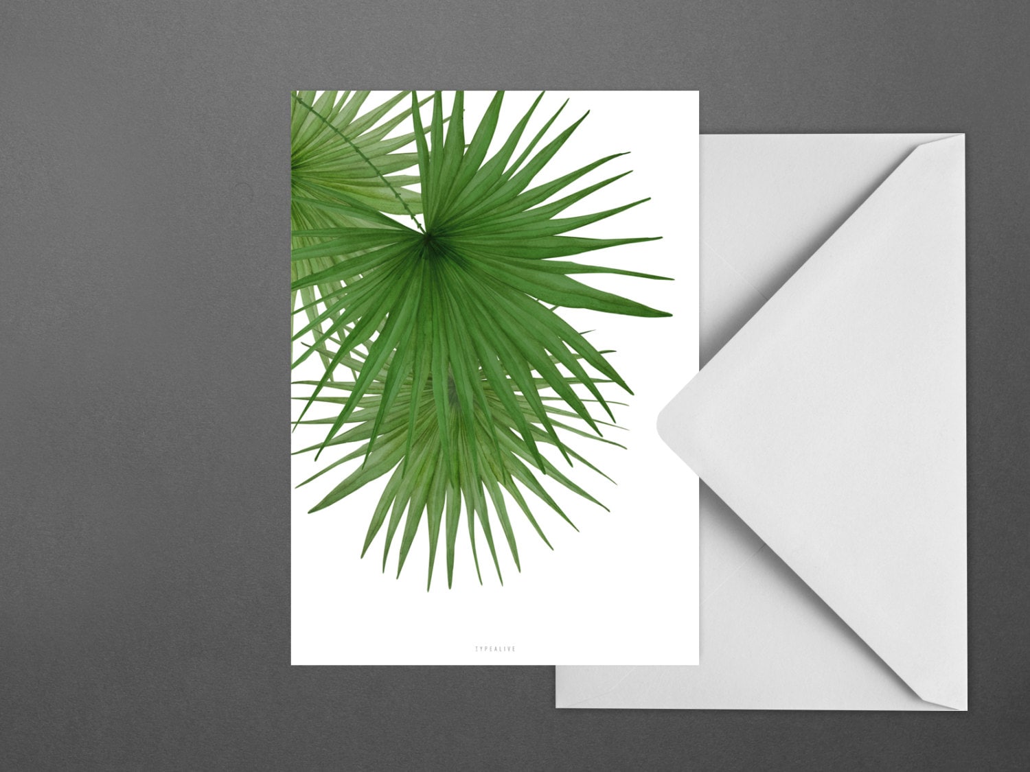 Postcard / Tropical No. 3 / Tropical Card Palms Summery Etsy