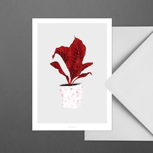 Carte pour diverses occasions / WALLPLANT NO. 1 / Carte postale pour de nombreuses occasions - comme salutation ou invitation pour les amis et la famille, plante rouge