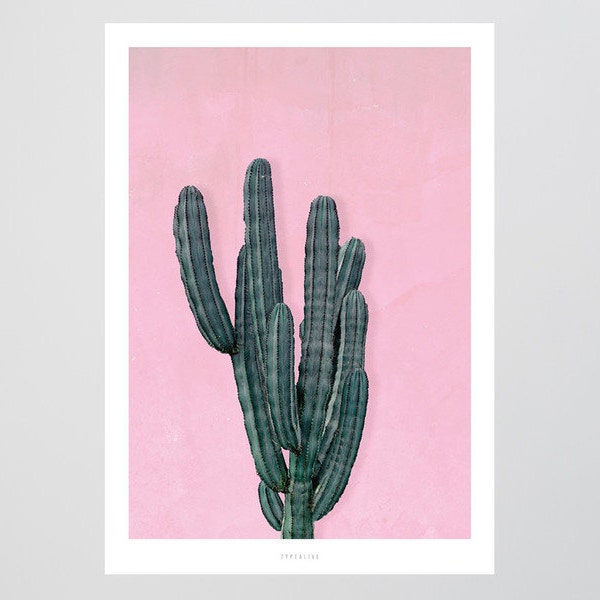 Kaktus No. 1 / Plant, Cactus, Tropical, Fine Art-Print, Wall-Art, Minimal Poster Art, Typography Art, Premium Poster, Kunstdruck Poster