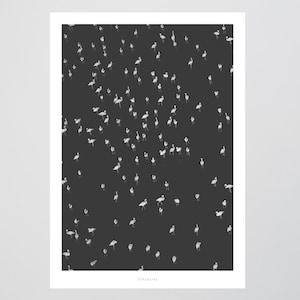 Poster mural / Birds No. 1 / Birds, black, white, living room decoration, housewarming gift, art print, as a gift