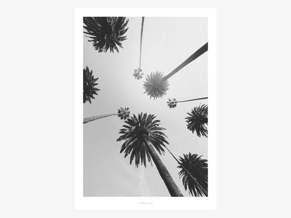 All About Palms No 7 Palms Black And White Bw Summer Tropical Fine Art Print Wall Art Minimal Poster Art Premium Poster - 