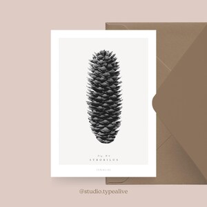 Carte de Noël / CONES DE PIN NO. 4/ Carte de Noël simple et belle - carte de voeux pour l'Avent pour la famille, les amis et les collègues