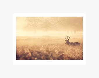 Golden Deer / Weihnachtliches Poster mit Hirsch Foto im Winter Nebel Druck als Wand Dekoration Weihnachten Winter Geschenk Hygge