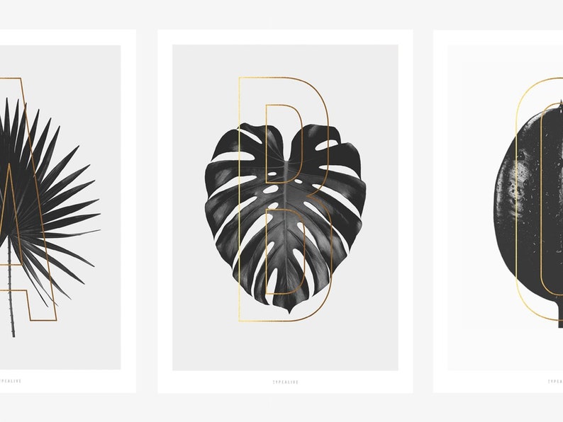 Print Abc Plants A Z Letter Poster Scandi Black White A B Etsy