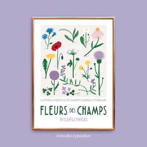 Poster murale / FIORI DI CAMPO / poster didattico con fiori, per gli amanti della natura, decorazione del soggiorno, regalo di inaugurazione della casa, stampa artistica, come regalo